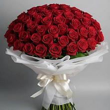 Букет 101 Красная роза Блэк Мэджик в Новой Майне