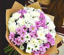 Букет цветов из:  Хризантемы #REPLACE_PRED# Новой Майне