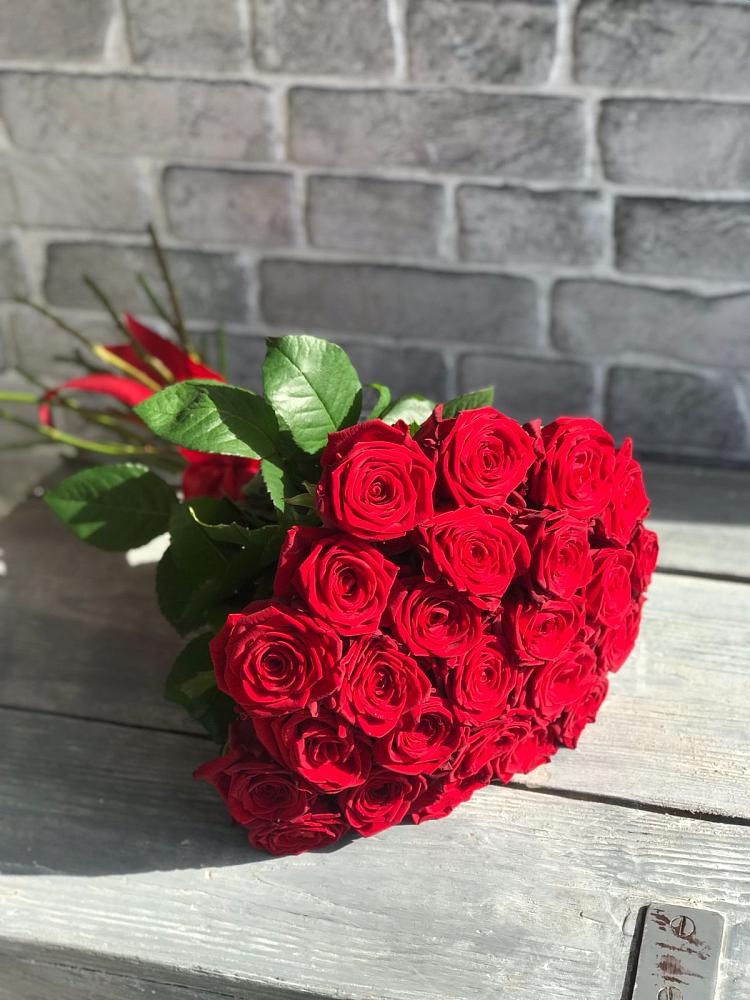 Букет Красные розы Фридом в Новой Майне