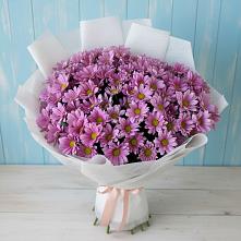 Букет цветов из:  Хризантемы в Новой Майне