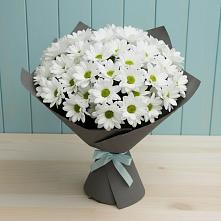 Букет цветов из:  Хризантемы в Новой Майне