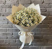 Букет цветов из:  Ромашки #REPLACE_PRED# Новой Майне