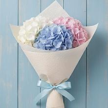 Букет цветов из:  Гортензия в Новой Майне