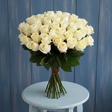 Букет 51 Белая роза Эдлесс Лав #REPLACE_PRED# Новой Майне