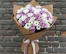 Букет цветов из:  Хризантемы в Новой Майне