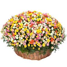 Премиум букет из: Розы #REPLACE_PRED# Новой Майне