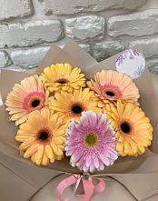 Букет цветов из:  Герберы #REPLACE_PRED# Новой Майне