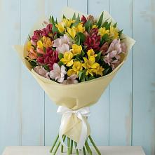Букет цветов из:  Альстромерии в Новой Майне