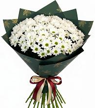 Букет цветов из:  Хризантемы в Новой Майне