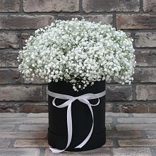 Цветочная композиция из Гипсофила в шляпной коробке в Новой Майне