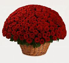 Премиум букет из: Розы в Новой Майне