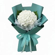 Букет цветов из:  Гортензия в Новой Майне